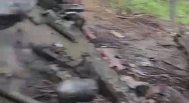 Драўляны танк